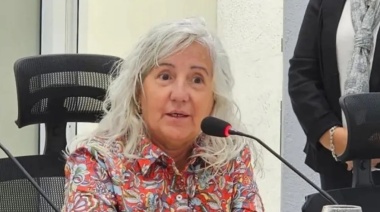 Griselda Fuentes: "La demanda de taxis cayó un 60 % en enero en Río Grande"