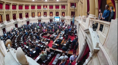 La suspensión de las PASO obtuvo dictamen