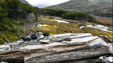 Bienes Nacionales abre el camino para el traslado definitivo de la municipalidad de Timaukel a Pampa Guanaco