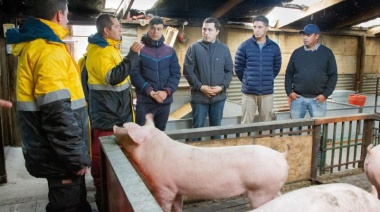 El Municipio de Río Grande acompaña a productores porcinos de la ciudad