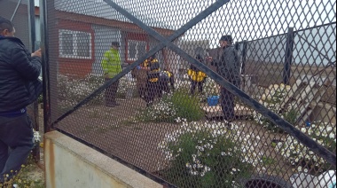 Encuentran a tres perros en una situación extrema, uno de ellos agonizante