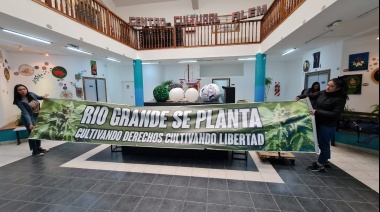 Concejales le dijeron no a la habilitación de growshops