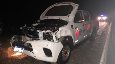 Camioneta chocó con una vaca que se cruzó en la ruta 3