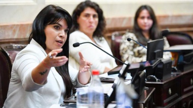 La senadora Duré denunció al presidente Milei por “entregar Malvinas”