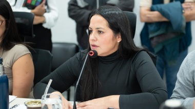 Arce propone desafectar un espacio verde en la zona sur