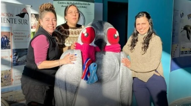 Acuerdan acción binacional para recuperar al chorlito ceniciento