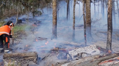 Nuevo incendio en el centro de la Isla