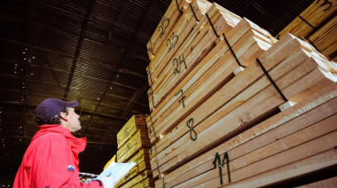 Litoral Renovable exporta pellets de lenga y abre un nuevo capítulo para la industria forestal fueguina