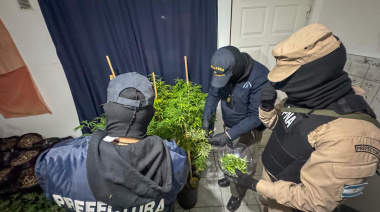 Prefectura realizó cinco allanamientos por drogas