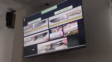 Efectivos de la Policía Científica bridaron detalles de las pruebas recolectadas
