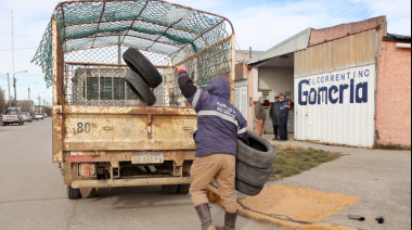 El municipio lleva adelante la trituración de cubiertas para su envío al continente