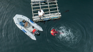 “Modificar la Ley 1355 de salmonicultura sería una enorme decepción”
