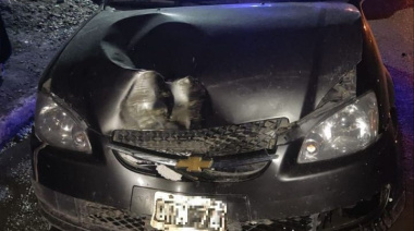 Conductor sin licencia impactó contra un poste