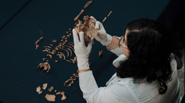 La Justicia fueguina brindará una capacitación de Antropología Forense