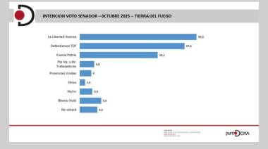 El termómetro electoral fueguino: Milei adelante, pero Defendamos TDF crece