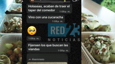 Río Grande: hallan cucaracha en una vianda escolar para niños