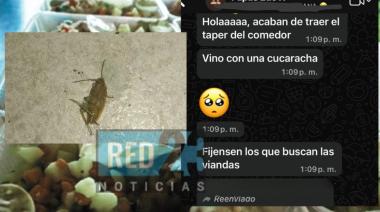 Río Grande: hallan cucaracha en una vianda escolar para niños