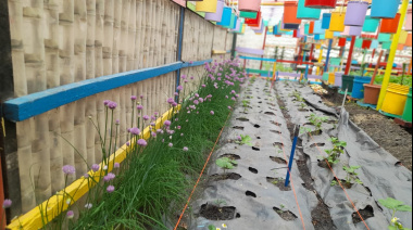 30 años de persistente lucha por el ambiente y la agroecología