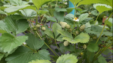 30 años de persistente lucha por el ambiente y la agroecología