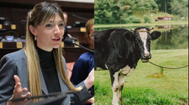 La diputada Lucía Lorena Klug de UP propone un “impuesto a los pedos de las vacas”