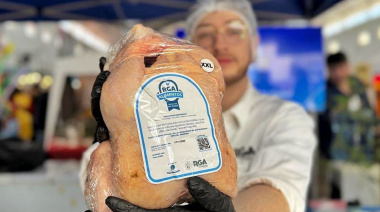 Producción en alza y nuevos desafíos