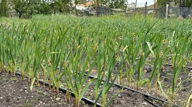 Producción en alza y nuevos desafíos