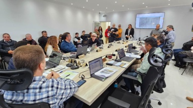 Remiseros reclamaron más licencias en el Concejo Deliberante