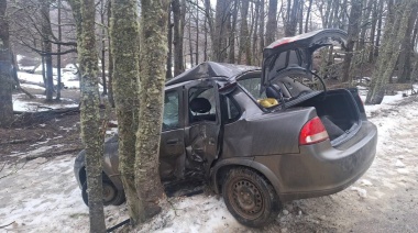 Un auto chocó contra un árbol