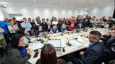 El Concejo aprobó la entrega de 80 licencias para taxis y remises