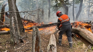 Ambientalistas indignados por la falta de avances en la investigación del incendio forestal