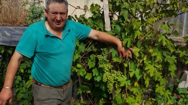 22 años de producción agroecológica
