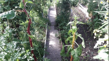 22 años de producción agroecológica