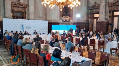 Ley de Bases y paquete fiscal: el Senado entró en cuarto intermedio hasta el lunes