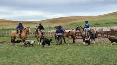 Aumentó la prestación por desempleo para trabajadores rurales