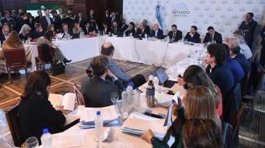 El Senado continúa el tratamiento de la Ley Bases en comisiones