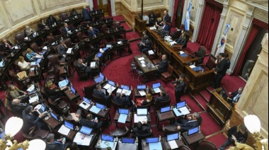 Ley Bases y paquete fiscal: se espera una larga discusión en el Senado