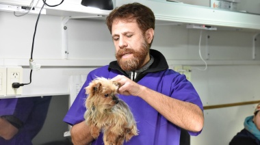 Salud Pública Veterinaria lleva más de 300 castraciones y vacunaciones en 70 días