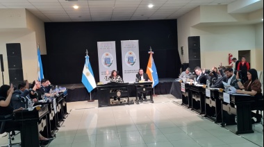 Ediles aprobaron pedidos de informes sobre el Puente Mosconi y estado de las calles