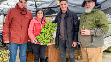 Comenzó la entrega de plantines de verduras a productores de Río Grande