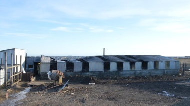 Incendio en la margen sur destruyó emprendimiento familiar de muchos años
