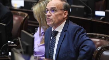 “El DNU 846/24 es la llave para hipotecar al país”