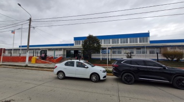 Cucarachas en la Escuela 10 preocupan a los padres porque “siguen apareciendo y son cada vez más grandes”