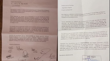 Cucarachas en la Escuela 10 preocupan a los padres porque “siguen apareciendo y son cada vez más grandes”