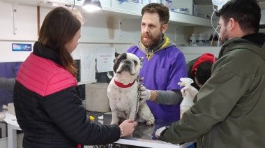 Anuncian nueva jornada de vacunación antirrábica y desparasitación en Tolhuin