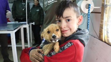 Anuncian nueva jornada de vacunación antirrábica y desparasitación en Tolhuin