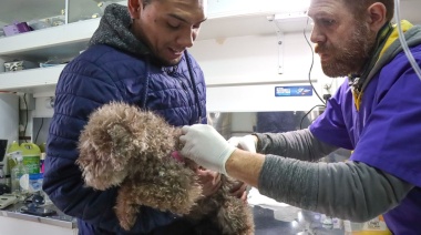 Anuncian nueva jornada de vacunación antirrábica y desparasitación en Tolhuin