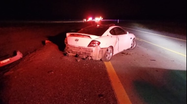 Un guanaco provocó accidente con un herido de consideración
