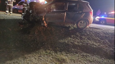 Un guanaco provocó accidente con un herido de consideración