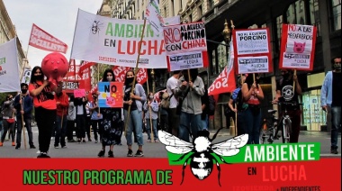 Ambiente en lucha ante las políticas neoliberales