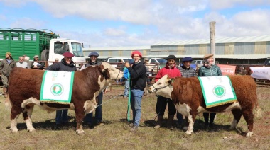 Este sábado se realizará la Jura Hereford en La Oveja Negra, pero desde el viernes tendrá sus puertas abiertas
